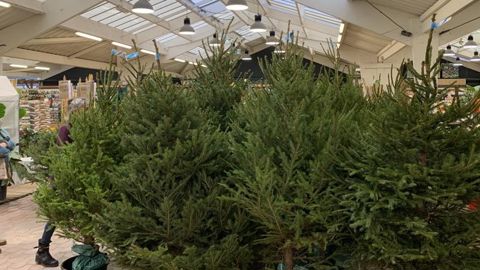 Réduire le temps des minuteries d’éclairage et multiplier les détecteurs de présence font partie des options pour réduire la consommation d’énergie, estime le groupe InVivo. ©François Arnould